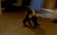 get a life monkey GIF