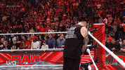Sport Wwe GIF by USA Network