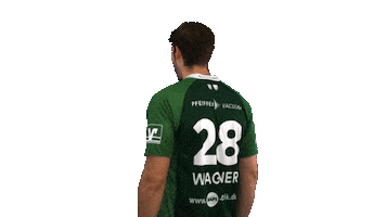 hsgwetzlar handball-bundesliga wagner wetzlar hsg wetzlar Sticker