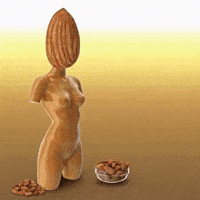 Nut Almond GIF by The LSD Hotel