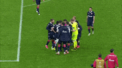 Delije Uefaeuropaleague GIF by sportmts