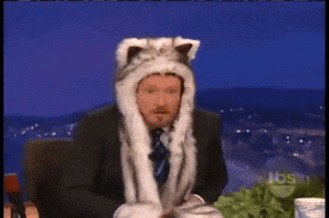 SpiritHood cat cats kitty meow GIF