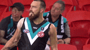 Never Tear Us Apart Football GIF by Port Adelaide FC
