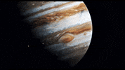 GIF by Signature Entertainment