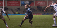 SaleSharks rugby sale sharks salesharks gallagherprem GIF