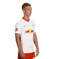 Posing Line Up Sticker by Bundesliga