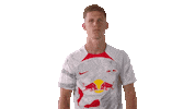 Dani Olmo Football Sticker by RB Leipzig