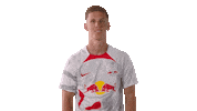 Dani Olmo Football Sticker by RB Leipzig