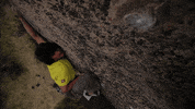 Monday GIF by Red Bull