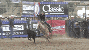NHSRARodeo rodeo breakaway nhsra bronc GIF