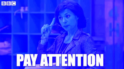 platanohaybrand giphygifmaker attention mosca presta atencion GIF