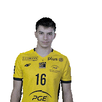Volleyball David Sticker by PGE GiEK Skra Bełchatów
