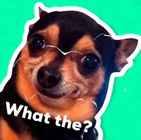 Rahimmam what the GIF