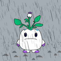 Sad Rainy Day GIF by Magic Eden