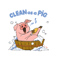 SongThuanChay pig friends not food clean as a pig Sticker