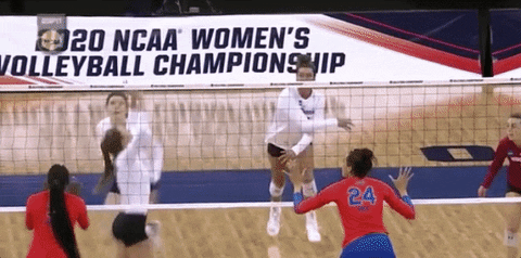 Volleyball Florida GIF by NCAA Championships