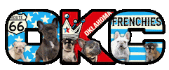 French Bulldog Oklahoma Sticker by OKC Frenchies
