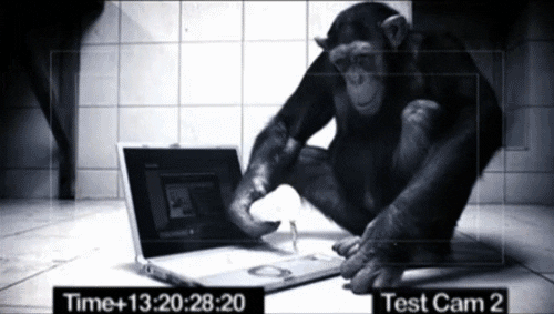 monkey laptop GIF