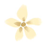 flower linea Sticker by lineaorganica
