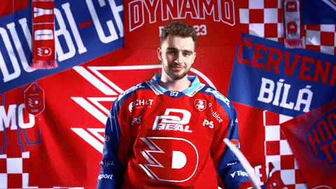 Frantisek GIF by HC Dynamo Pardubice