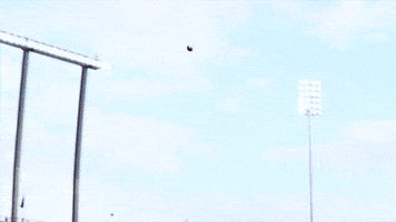 Jeffbrohm Boilerfootball GIF by Purdue Sports