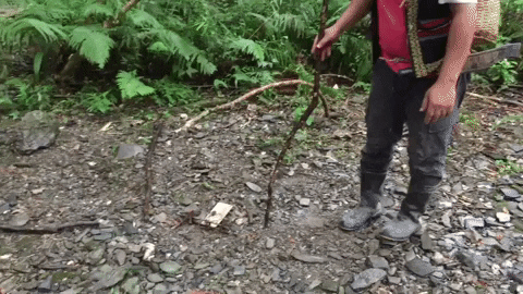 chayalin giphygifmaker GIF