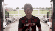 University Of Louisville Go Cards GIF by Louisville Cardinals
