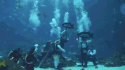 wedding GIF by Brighter Image
