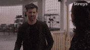 109 GIF by Strays