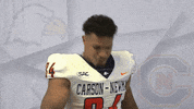 Cnfb19 Marcuswilliams GIF by Carson-Newman Athletics