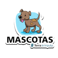 CorporacionGrupoTerra honduras emprendedores apoyo tti Sticker