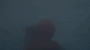 Water Swimming GIF by FOX TV