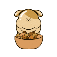 bamjjeolmi 밤쩔미 bamjjeolmi Sticker
