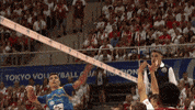 Save Go For It GIF by Volleyball World