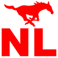 mustangsnl flagfootball tochito ifaf fmfa Sticker