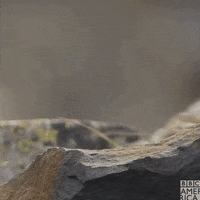 Pop Up Eating GIF by BBC America