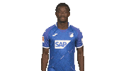 Football Hoffe Sticker by Bundesliga