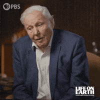 David Attenborough GIF by PBS