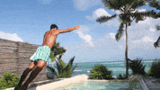 happy palm trees GIF