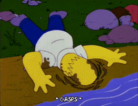 homer simpson episode 3 GIF