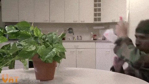water gun GIF