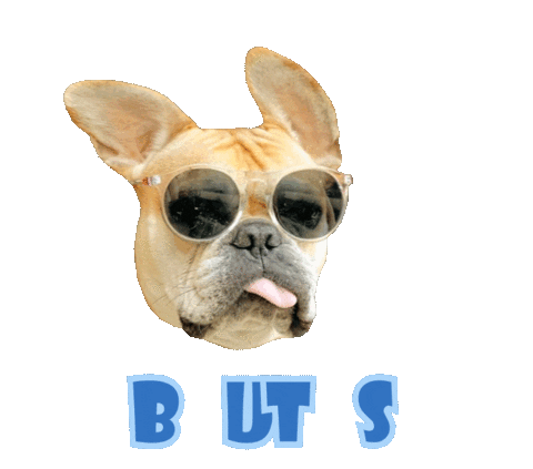 Dog Sticker