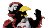 metropolitan state university of denver hello Sticker by Rowdy the Roadrunner