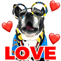 In Love Hearts Sticker by Pimp Yo Pets