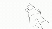 Iziwizi GIF