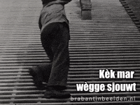 Brabant Klussen GIF by BrabantinBeelden