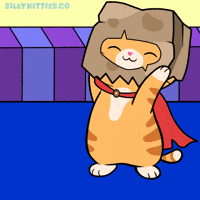 Cat Kitty GIF by Silly Kitties
