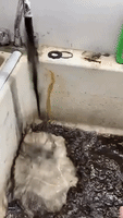 Black Water Pours From Faucet on Mohawk Reservation in Ontario