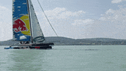 ver formula 1 GIF by Red Bull Racing
