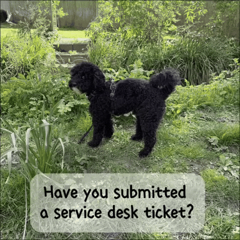 Ticket Troubleshooting GIF